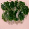 宮ちゃんママ's cooksnap of when they made 余った大葉は冷凍保存♪パラパラ解凍方法.