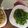しゅらたん's cooksnap of when they made 白だしでモロッコ豆のゴマ和え.