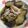 さとみトミ's cooksnap of when they made なすと海老の煮物.