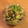 ○mimimi○'s cooksnap of when they made 大根おろしとアボカドのめんつゆ和え.