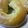 arcoisis's cooksnap of when they made ❀プレーンベーグル❀.