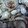 pochi7303's cooksnap of when they made ゆり根のマーガリン炒め　しょうゆ味.