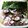 けんけんち's cooksnap of when they made 旦那さん弁当♡のり弁.