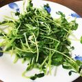 **saki**'s cooksnap of when they made サッともう一品☆ニンニク香る豆苗炒め♪.