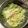 クックJHLDCB☆'s cooksnap of when they made 大根とコーンとレタスのサラダ.