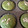 andy7034's cooksnap of when they made しっとりふわふわほうれん草マフィン.