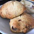 フロイラインめぐ's cooksnap of when they made 簡単★ホットケーキミックスdeチョコパン.