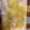 クックBOKSLN☆'s cooksnap of when they made 簡単！じゃが芋としらすのチーズ焼き.