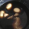 となりのトロイ's cooksnap of when they made ☆やわらか鳥の角煮～煮玉子添え～☆.