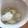 Nyaooomi's cooksnap of when they made 簡単フルーツアイス.