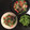 クックCSAEDP☆'s cooksnap of when they made 簡単！納豆と夏野菜のさっぱりそうめん.