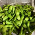 ぽちこ（マイ）'s cooksnap of when they made 枝豆の美味しい茹で方♪.
