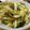 低カロ探検隊's cooksnap of when they made 簡単！しめじとペンネの付け合わせ.
