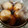 ワカジェ's cooksnap of when they made すき焼きのタレで超簡単煮玉子.