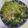 クック7C92CT☆'s cooksnap of when they made ブロッコリーとお豆のチョップドサラダ.