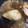 はるるきんぐ's cooksnap of when they made ぶりの揚げおろし煮.