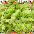 Emiii28's cooksnap of when they made キャベツともやしの甘酢漬け.