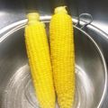 やっちょこ's cooksnap of when they made たったこれだけで？美味しい茹とうもろこし.