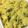 クックPX4GUB☆'s cooksnap of when they made さつま芋のサラダ☆.