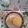 Dream♪'s cooksnap of when they made メロンパンクッキー(メロンパン).