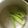 ☆こまっと☆'s cooksnap of when they made オクラの茹で方覚書(子供用).