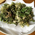 kotahoo's cooksnap of when they made ウドの花と若い実の天ぷら.