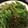 うずら123's cooksnap of when they made インゲンの鶏味噌そぼろ炒め.