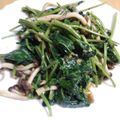 モニート's cooksnap of when they made お酒のアテにも！空芯菜炒め.
