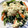 たなコアラ's cooksnap of when they made 優しい甘みと香ばしさ！ほうれん草の白和え.