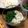 YUKIKI☆'s cooksnap of when they made 冷うどん（素麺）のつゆにモロヘイヤＩＮ.