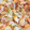 クックL24CXZ☆'s cooksnap of when they made いかのもろみ漬けとエノキの炒め物.