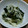 まひのママ's cooksnap of when they made わかめと大根の簡単☆さっぱりサラダ♪.
