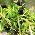 クックDKBXQN☆'s cooksnap of when they made 簡単シンプルに☆水菜としらすのサラダ.