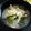 4double5's cooksnap of when they made 風邪予防！ターサイ＆しめじ☆わかめスープ.