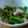 クックFMM45L☆'s cooksnap of when they made アスパラのツナマヨサラダ.