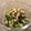 PARNELL's cooksnap of when they made きゅうりと椎茸のさっぱり！生姜和え♪.