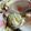 duck2's cooksnap of when they made 簡単！旨みが最高！白貝の酒蒸しバター風味.