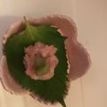 ma___111's cooksnap of when they made まぐろたたきの冷奴.