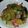 catch000's cooksnap of when they made しめじとベーコンの和風パスタ.