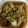 がんこママ♪'s cooksnap of when they made 白菜とツナの簡単クタクタ煮.