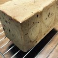 コジョフ〜's cooksnap of when they made HB使用☆黒糖レ一ズンパン.
