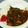モコ119's cooksnap of when they made ポークカレー！なんでも入れちゃう編.