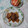 イチゴ、イチゴ。's cooksnap of when they made 基本の豚肉のしょうが焼き.