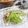 ＴＯＭＯＷＡＴ's cooksnap of when they made ゴーヤの梅塩麹和え.