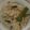 ぼんぬぅ's cooksnap of when they made 南インド朝ごはん：ウプマ.