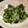 フロイラインめぐ's cooksnap of when they made さっぱり♬きゅうりとわかめの生姜酢和え.