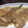 メロンパンケーキ's cooksnap of when they made Caたっぷり！真鰯のみぞれ煮.