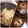枝29's cooksnap of when they made 松茸ご飯＆土瓶蒸し♪.