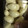 Yokchina's cooksnap of when they made ＊超簡単!! にんにくの皮のむき方＊.