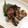 ★うさぎ組★'s cooksnap of when they made タコの磯辺揚げ.